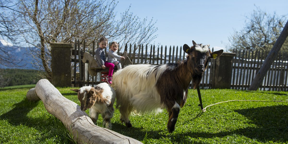 Urlaub mit Kleinkind auf dem Bauernhof in Südtirol