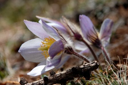 Wandern im Frühling in Südtirols Süden